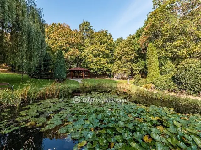 Eladó lakás Budapest II. kerület, Szépjuhászné 73 nm