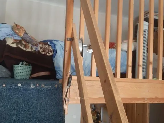 Eladó lakás Budapest XIII. kerület 24 nm