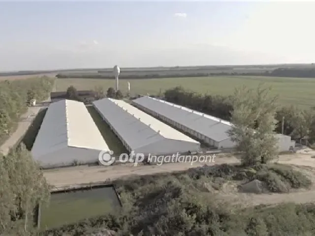 Eladó mezőgazdasági ingatlan Nagylók 24581 nm