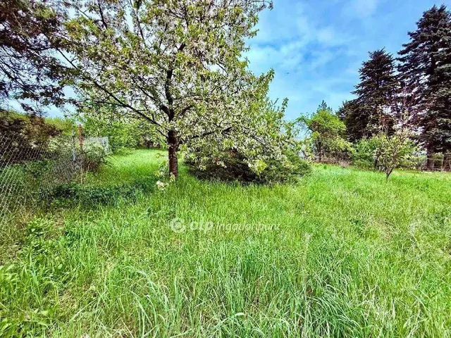 Eladó telek Solymár 1504 nm