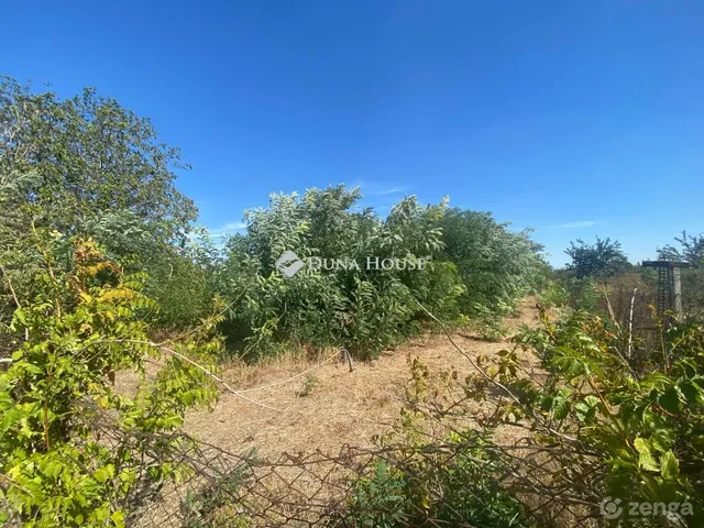 Eladó telek Orosháza 5741 nm