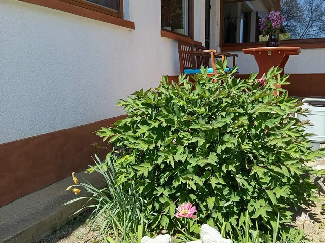 Eladó ház Rád 132 nm