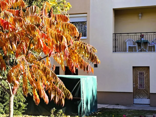 Eladó lakás Balatonfüred 89 nm