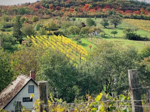 Eladó telek Pécsely 3030 nm