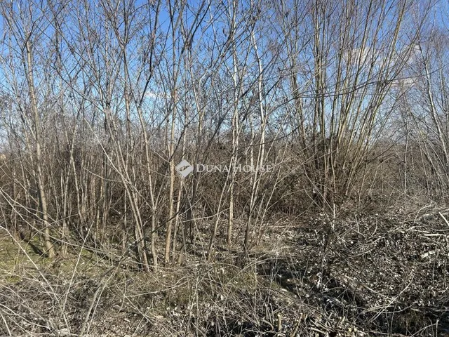 Eladó telek Cegléd 7089 nm