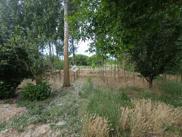 Eladó ház Tápióbicske 92 nm