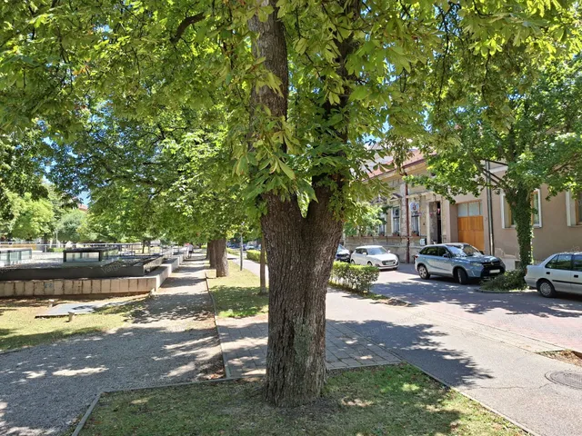 Eladó ház Sopron, Belváros 320 nm