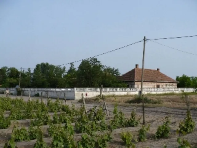 Eladó mezőgazdasági ingatlan Orgovány 250 nm