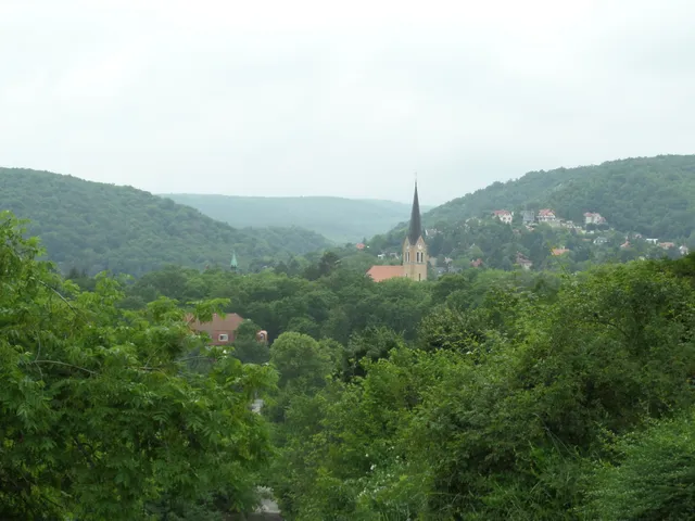 Eladó ház Budapest II. kerület, Máriaremete 350 nm