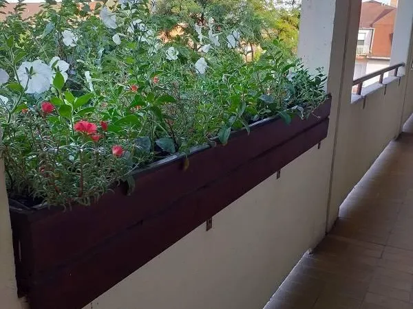 Kiadó lakás Budapest XIV. kerület, Kiszugló 43 nm