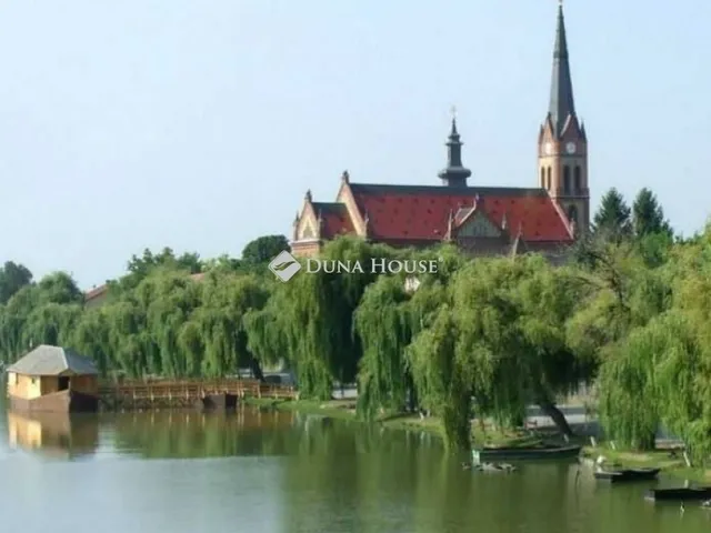 Eladó ház Ráckeve 140 nm