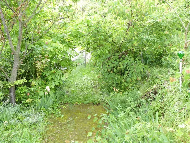 Eladó telek Pécs, Szkókó, Nagyszkókói út 2768 nm