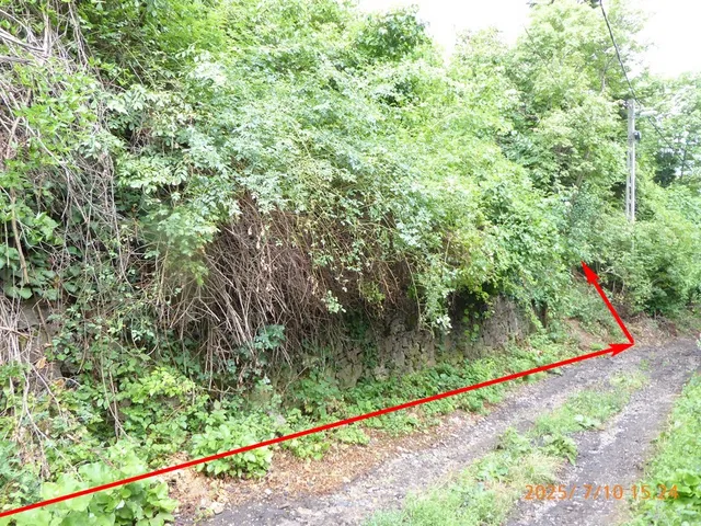 Eladó telek Pécs, Szkókó 1366 nm