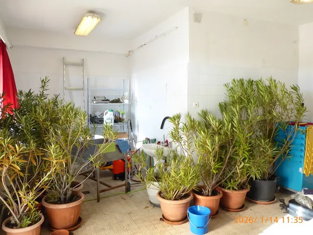 Kiadó kereskedelmi és ipari ingatlan Pécs, Nyugati ipari terület 26 nm