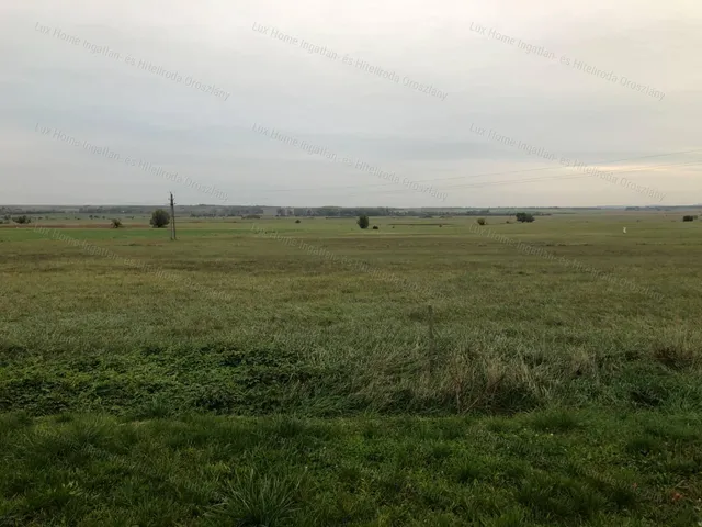 Eladó telek Csákvár 11173 nm