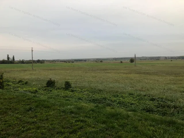 Eladó telek Csákvár 11173 nm
