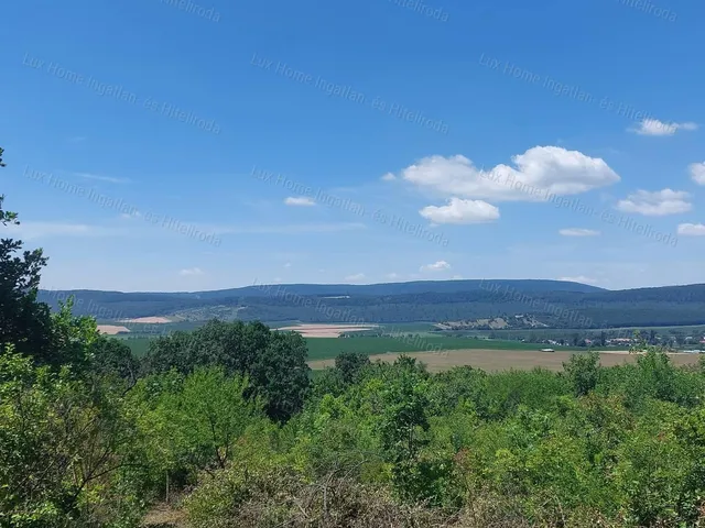 Eladó mezőgazdasági ingatlan Héreg 910 nm