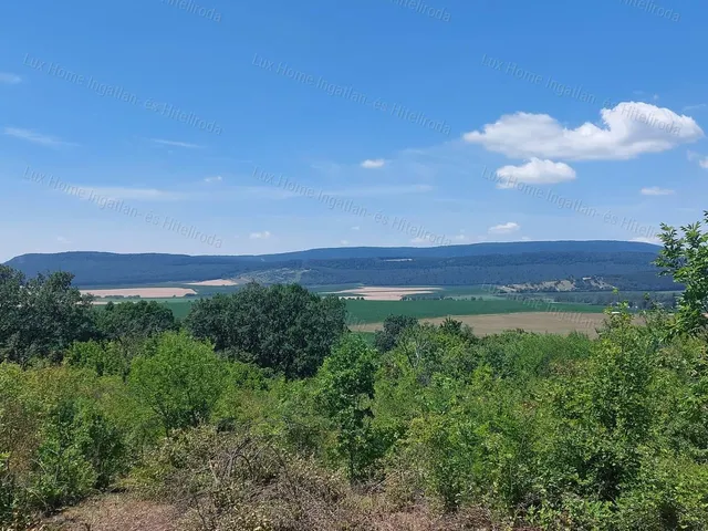 Eladó mezőgazdasági ingatlan Héreg 910 nm