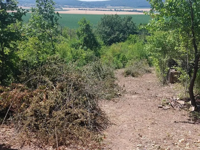 Eladó mezőgazdasági ingatlan Héreg 910 nm
