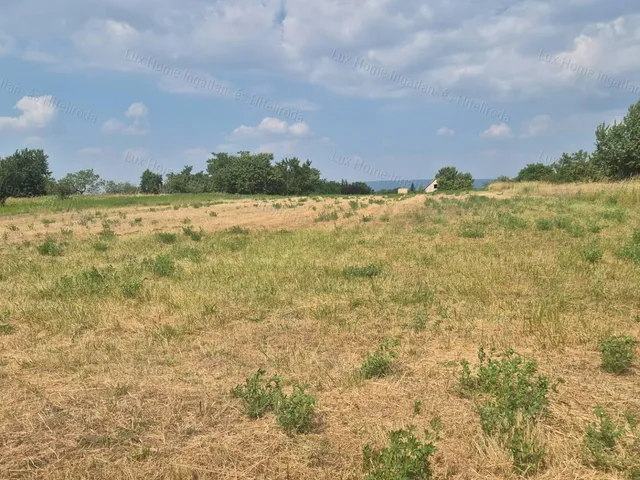 Eladó mezőgazdasági ingatlan Kecskéd 2835 nm