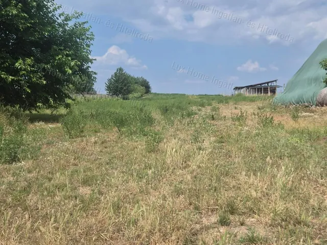 Eladó mezőgazdasági ingatlan Kecskéd 2835 nm