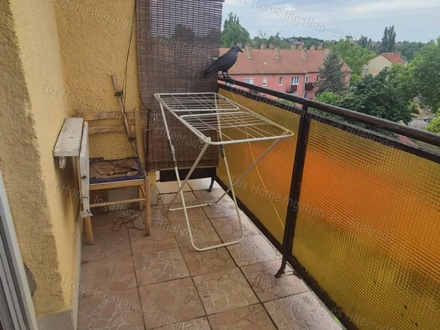 Eladó lakás Oroszlány 40 nm