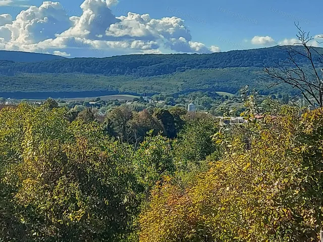 Eladó mezőgazdasági ingatlan Héreg 38 nm