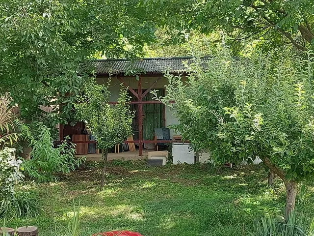 Eladó mezőgazdasági ingatlan Héreg 38 nm