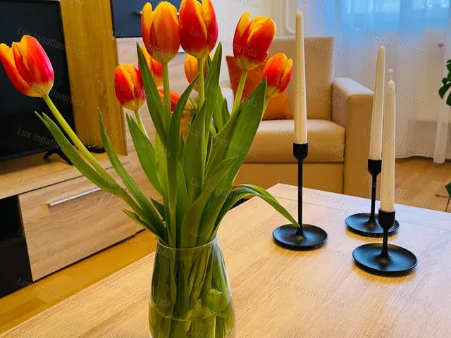 Eladó lakás Komárom 64 nm