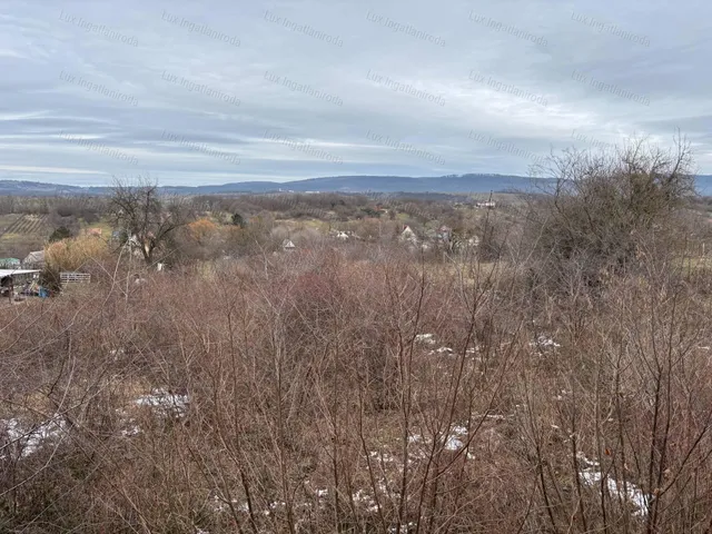 Eladó ház Tata 130 nm