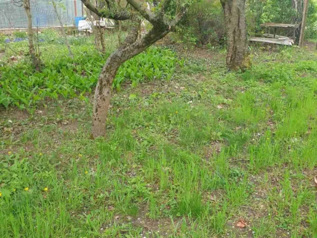 Eladó mezőgazdasági ingatlan Tatabánya 718 nm