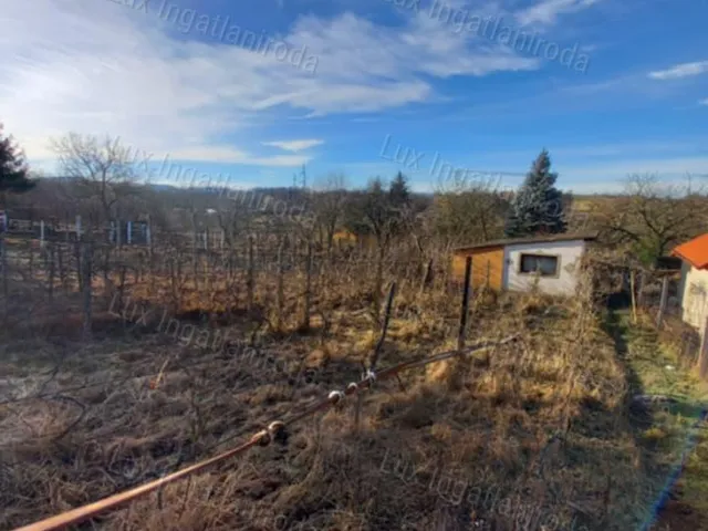 Eladó mezőgazdasági ingatlan Oroszlány 1896 nm