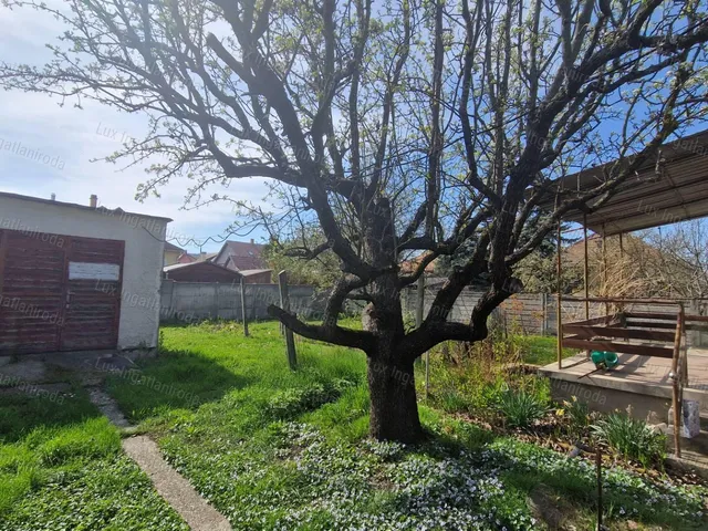 Eladó ház Dorog 90 nm