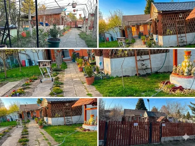 Eladó mezőgazdasági ingatlan Oroszlány 301 nm