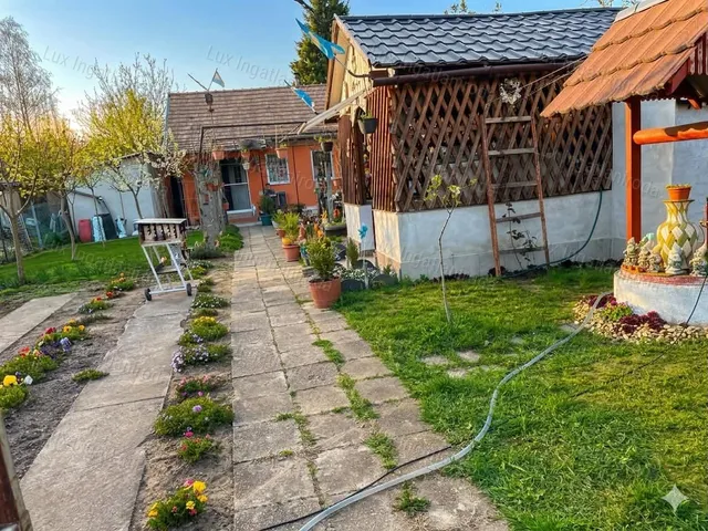 Eladó mezőgazdasági ingatlan Oroszlány 301 nm