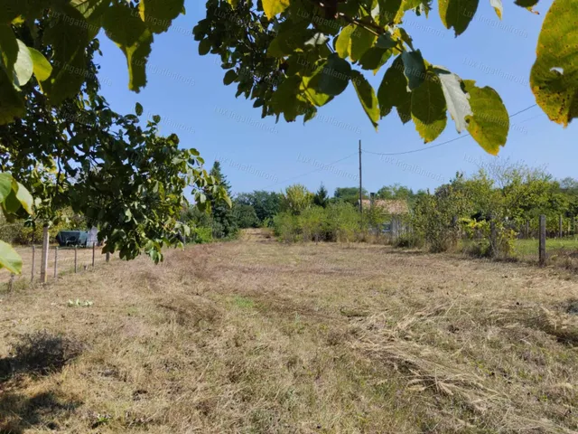 Eladó mezőgazdasági ingatlan Környe 2201 nm