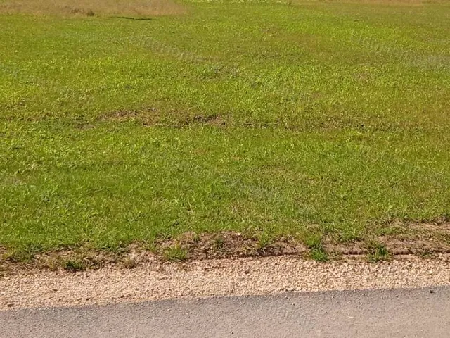 Eladó telek Sárszentmihály 872 nm