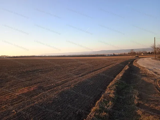 Eladó mezőgazdasági ingatlan Sárszentmihály 66652 nm