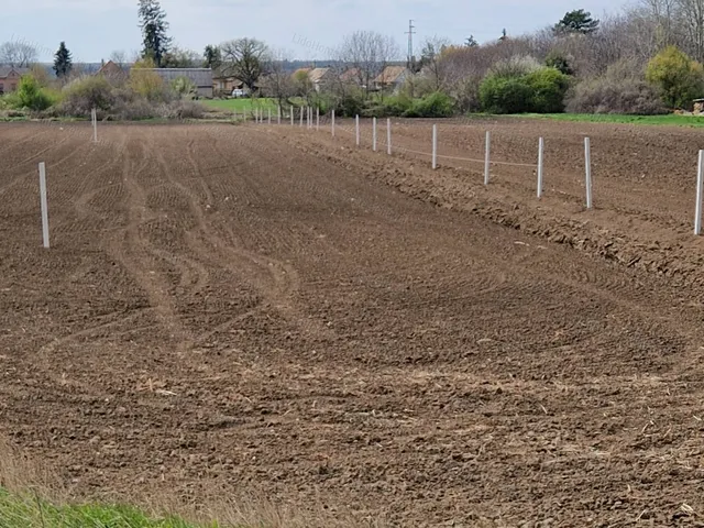 Eladó telek Polgárdi 1000 nm