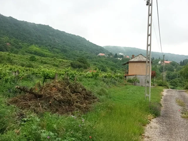 Eladó mezőgazdasági ingatlan Csókakő 2814 nm