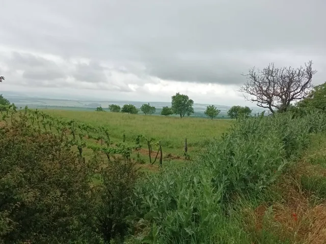 Eladó mezőgazdasági ingatlan Csókakő 2814 nm