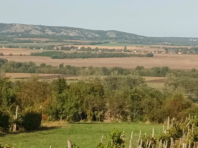 Eladó mezőgazdasági ingatlan Fehérvárcsurgó 30 nm