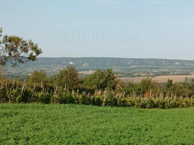Eladó mezőgazdasági ingatlan Fehérvárcsurgó 50 nm