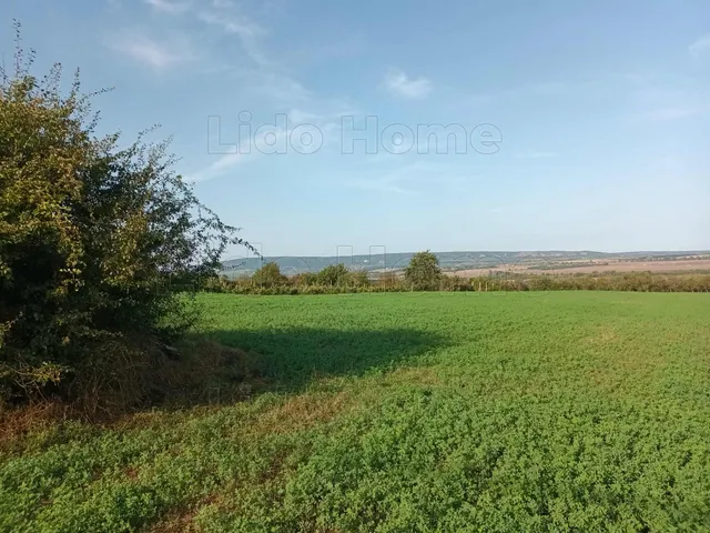 Eladó mezőgazdasági ingatlan Fehérvárcsurgó 1546 nm