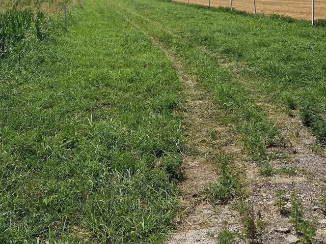 Kiadó telek Polgárdi 1000 nm