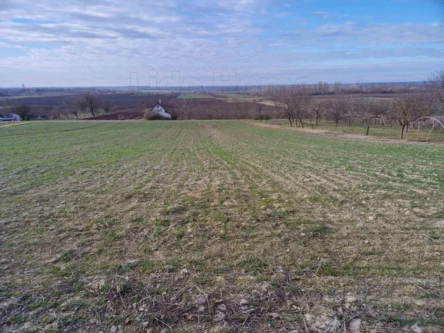 Eladó mezőgazdasági ingatlan Lepsény 1650 nm