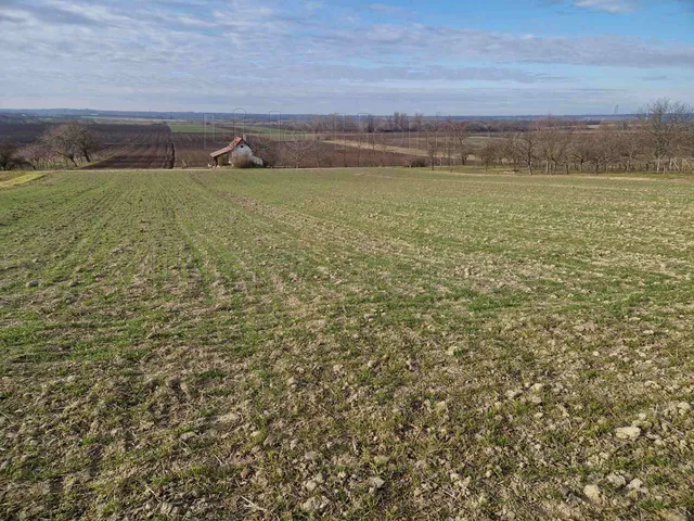 Eladó mezőgazdasági ingatlan Lepsény 4911 nm