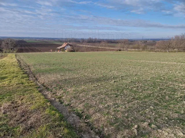 Eladó mezőgazdasági ingatlan Lepsény 4911 nm