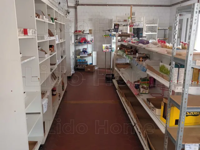 Eladó ház Kisláng 338 nm