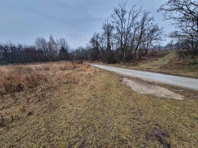 Eladó mezőgazdasági ingatlan Lovasberény 1463 nm